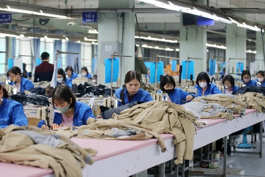 Vinatex lãi đột biến nửa đầu 2025 nhưng vẫn hoãn chuyển sàn và dừng chia cổ tức