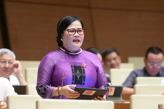 Chính sách pháp luật phải hỗ trợ, thay vì ngăn cấm không cần thiết