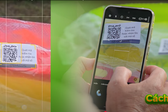 Phú Mỹ Fer-Right – Đồng hành cùng nền nông nghiệp hiện đại và bền vững