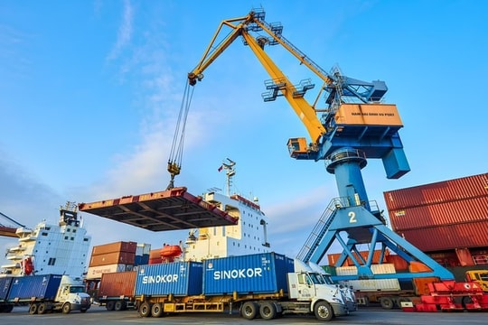 Hải An 'bắt tay' Viconship: Cơ hội vươn xa của hai ông lớn vận tải biển nội địa