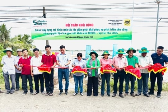 Phân bón Bình Điền: Xây dựng mô hình canh tác lúa giảm phát thải