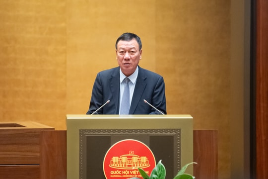 Tổ chức lại hệ thống các cơ quan thanh tra theo 2 cấp