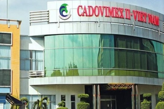 Đại gia thủy sản Cadovimex lỗ luỹ kế hơn 1.700 tỷ, kiểm toán từ chối ý kiến, cổ phiếu vào diện hạn chế giao dịch