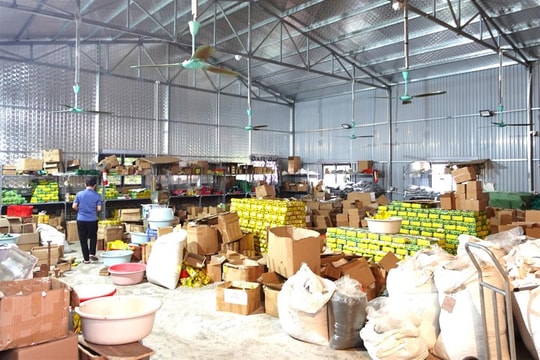 Thu hàng chục tỷ đồng từ bán chè Thái Nguyên giả, một đối tượng bị khởi tố