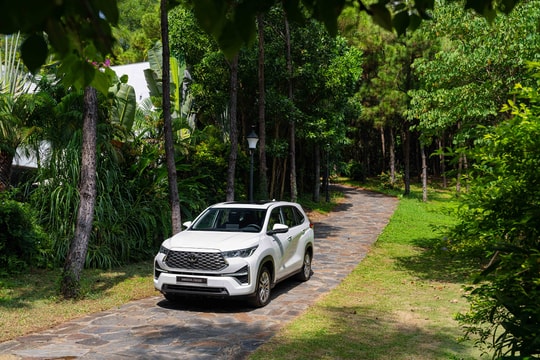 Toyota áp đảo thị trường ô tô hybrid tại Việt Nam