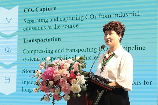 Tiến Sĩ Nguyễn Diệu Nương Petrovietnam đi đầu về công nghệ xanh CCS