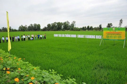 Nghị quyết 57-NQ/TW: Ưu tiên ứng dụng Công nghệ sinh học trong đổi mới mô hình tăng trưởng