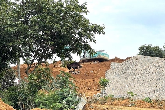 Hà Nội chỉ đạo khẩn kiểm tra công trình không phép, san lấp đất đồi tại Vườn quốc gia Ba Vì