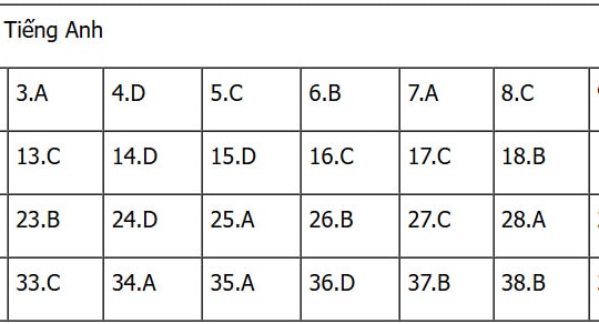 Đáp án đề thi tốt nghiệp THPT 2025 môn Tiếng Anh, mã đề 1139 (tham khảo)