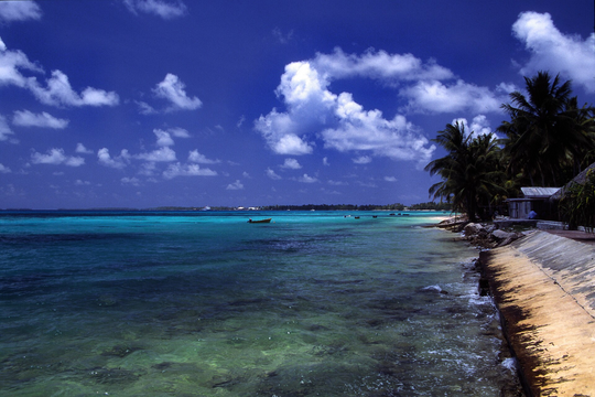 Gần một nửa dân số đã nộp đơn rời khỏi quốc gia này