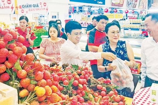 Bắc Giang tiêu thụ xong hơn 70.000 tấn vải sớm