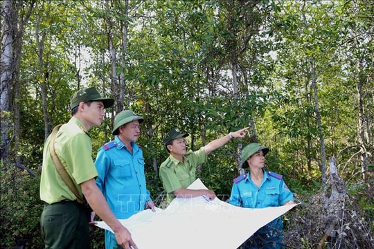 UBND cấp xã được phê duyệt phương án quản lý rừng cho hộ dân làm du lịch sinh thái từ ngày 1/7