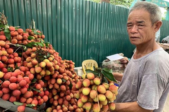 Nguyên nhân khiến giá nông sản lao dốc trong thời gian qua