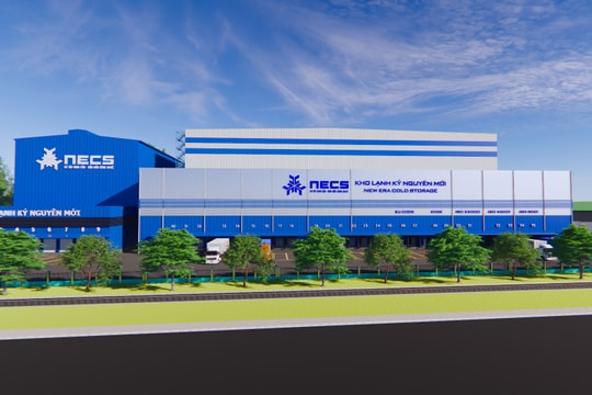 NECS đồng hành cùng kỷ nguyên mới vươn mình
