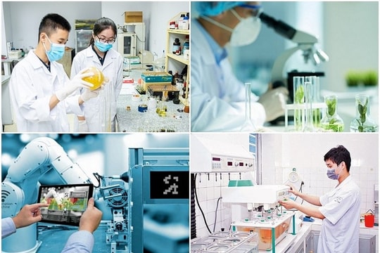 Thu hút chất xám toàn cầu cho khu vực công: Cơ chế đặc thù dành cho kiều bào và chuyên gia quốc tế