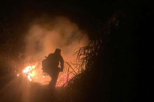 Hàng trăm người trắng đêm dập lửa, chữa cháy rừng ở Nghệ An