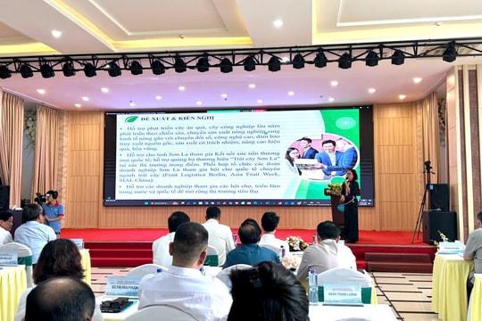 Tây Bắc nâng cao giá trị nông sản bằng hợp tác và liên kết chuỗi