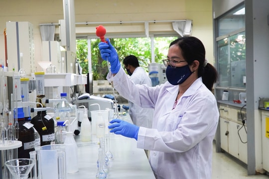 Bộ ba vàng vô cơ – hữu cơ – sinh học của Phú Mỹ - PVFCCo