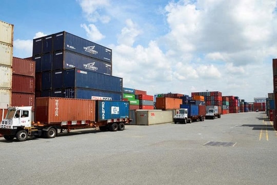 Xuất khẩu nông lâm thuỷ sản năm 2025: Tăng tốc để cán đích 65 tỷ USD