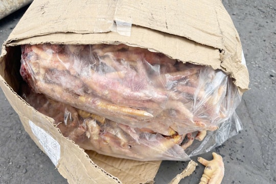 Hải quan khởi tố vụ xuất khống 1.400 tấn chân gà đông lạnh