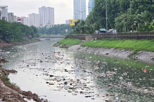 Sông Tô Lịch lại 'ngập' rác thải sinh hoạt sau mưa lớn