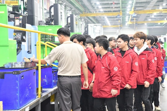 Việt Nam tăng tốc đào tạo nhân lực STEM & bán dẫn: Cơ hội lịch sử để vươn mình thành ‘con rồng’ công nghệ mới