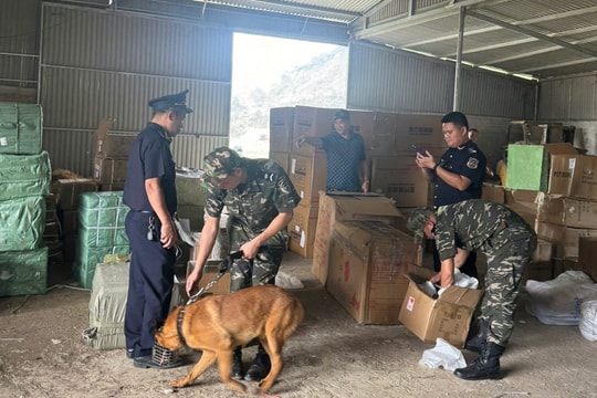 Hải quan bắt giữ và xử lý 8.561 vụ việc vi phạm pháp luật trong 6 tháng đầu năm