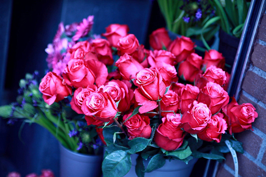 ‏Nga dọa tăng thuế hoa nhập từ các nước “không thân thiện”‏