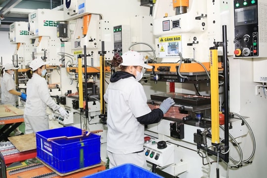 'Bắt mạch' kinh tế tư nhân: Doanh nghiệp Việt tăng tốc chưa từng thấy