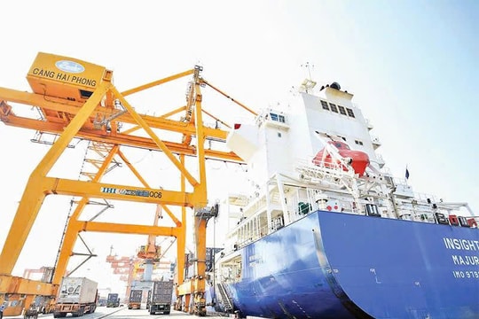 3 kịch bản tác động từ thuế đối ứng của Mỹ đến xuất khẩu nông, lâm, thủy sản Việt Nam