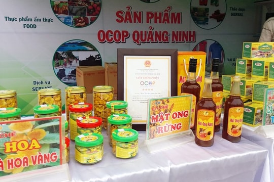 Chủ tịch UBND tỉnh phê duyệt, chứng nhận cho các sản phẩm OCOP đạt 3 sao, 4 sao