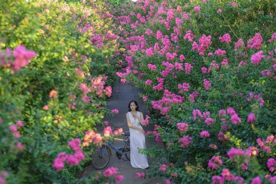 Tạm xa phố thị xô bồ, đắm mình trong sắc hoa tại nơi được ví là 'Ốc đảo xanh' của Thủ đô