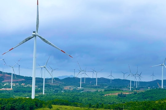 Quảng Trị: Phê duyệt thêm hai dự án điện gió trị giá hơn 3.000 tỷ đồng