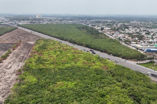 Đồng Nai: Chuẩn bị đấu giá 34 khu đất trị giá hơn 20.600 tỷ đồng