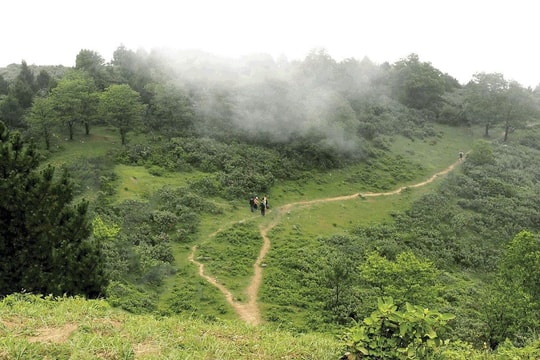 Hà Nội: Siết chặt quản lý rừng và đất lâm nghiệp, ứng dụng công nghệ giám sát cháy rừng