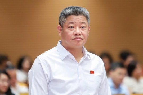 Hà Nội: Lo ngại rau 'tắm thuốc' bán sớm, lãnh đạo thành phố thừa nhận thực trạng