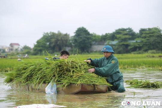 Miền Bắc được yêu cầu sẵn sàng ứng phó mưa lũ