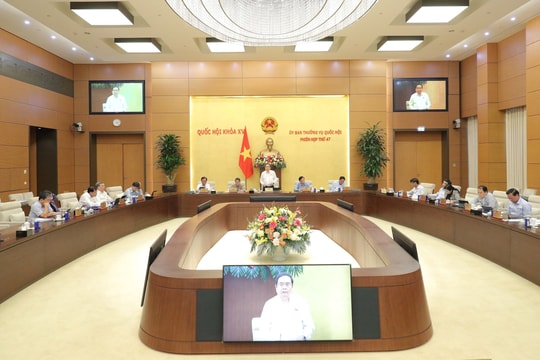 Trong tháng 8/2025 sẽ tổ chức phiên giải trình về thuốc giả và thực phẩm giả