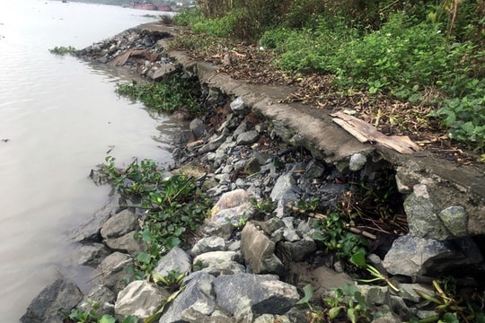 Cần làm rõ nguyên nhân xuất hiện những vết nứt tại các công trình đê điều trên địa bàn TP. Hải Phòng