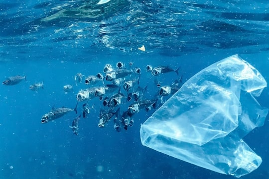 Nghiên cứu: Khoảng 27 triệu tấn nhựa nano rất độc hại đang trôi nổi ở Đại Tây Dương