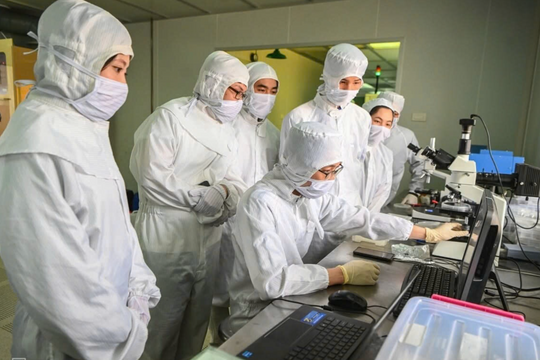 Bất ngờ với ngành khoa học miễn 100% học phí, hỗ trợ 2 triệu/tháng