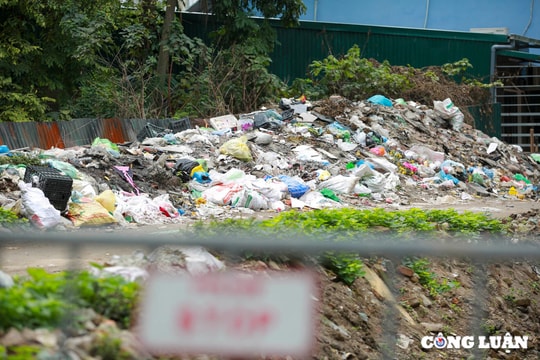 Giảm phát thải POP và thủy ngân: Chìa khóa thúc đẩy công nghiệp phát triển bền vững