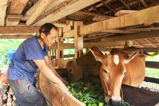 Cao Bằng: Giảm nghèo bền vững, hiệu quả từ những giải pháp đồng bộ, sát thực tiễn