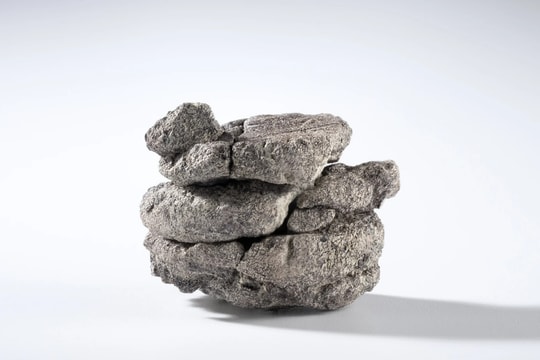 Phát hiện hóa thạch khủng long ngay dưới bảo tàng... khủng long