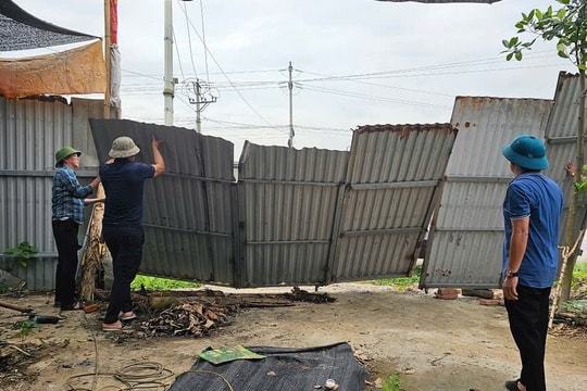 Vĩnh Phúc: Kiên quyết xử lý vi phạm đất đai tại xã Thanh Trù – thành phố Vĩnh Yên