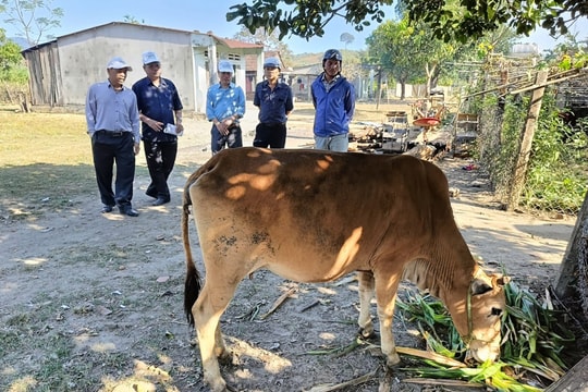 Thực hiện đồng bộ các giải pháp để giảm nghèo bền vững