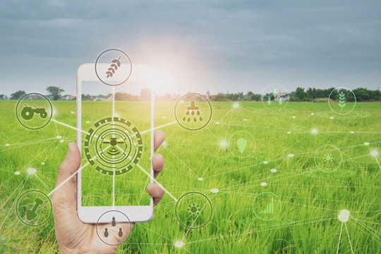 Xác thực và truy xuất nguồn gốc – Chìa khóa để hàng Việt chinh phục thị trường quốc tế