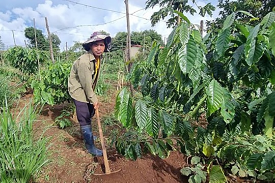 Gia Lai: Đẩy mạnh giảm nghèo đa chiều bền vững không để ai bị bỏ lại phía sau