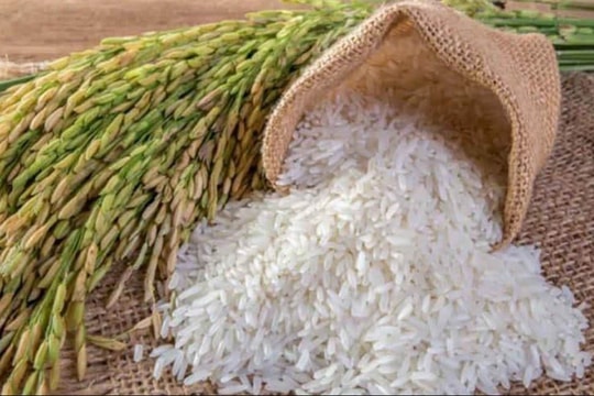 Giá lúa gạo hôm nay 14/7: Việt Nam đi ngang, thị trường Châu Á ảm đạm