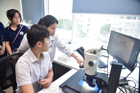 'Chạy đua' đào tạo nhân lực bán dẫn: Cơ hội lớn, yêu cầu cao